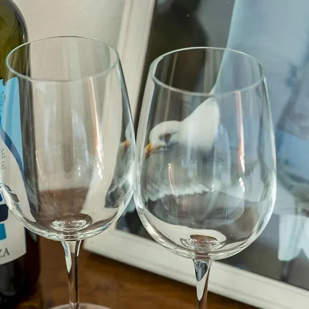 Ventu De Ma & * 韦尔纳扎